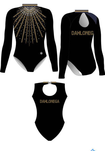 Bronze & Silver Team Leotard